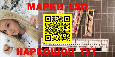 стаф Кингисепп