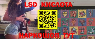 стаф Кингисепп