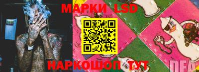 спайс Кандалакша