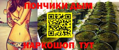 шишки Чебоксары