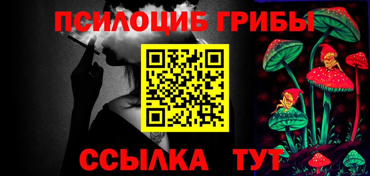 Псилоцибиновые грибы MAGIC MUSHROOMS  Вход с VPN  Псилоцибиновые грибы ЛСД  купить наркотик  Королёв 